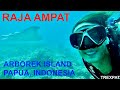 Indonsie  raja ampat le arborek   guide de voyage