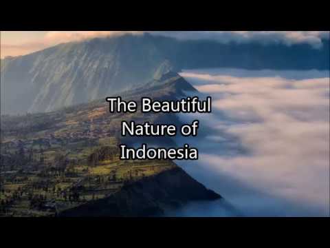 Examples Of Descriptive Text Youtube