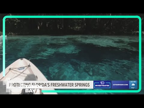 Our 19+ Favorite Freshwater Florida Springs in 2024 • Authentic Florida