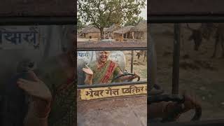 Dadi Ji Ne Banai Gobar Se Chalne Wali Desi Jugaad Car 😱🚗 | Indian Village Innovation #shortsViral