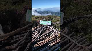 Mt. Tabayoc summit. I love the view. 😁 #fyp #hiking #mttabayoc #benguet