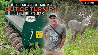 Getting the Most out of Turnips | Dream Farm w/ Bill Winke