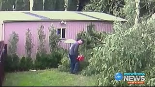 Man caught on CCTV chopping down neighbour's trees says he knows nothing about it