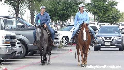 High Brow Heaven and Talkin About Smart - riding in town! - ValleyViewRanch.net