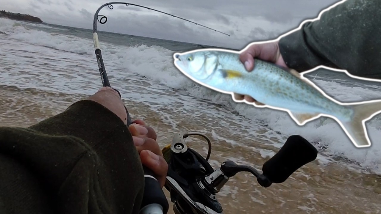 ULTRALIGHT INSTANT SALMON HOOKUPS, METRO ADELAIDE! | Hunt For The 50cm Salmon, Episode 1 ULTRALIGHT INSTANT SALMON HOOKUPS, METRO ADELAIDE! | Hunt For The 50cm Salmon, Episode 1