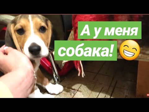 Видео: Как да върнете покупка