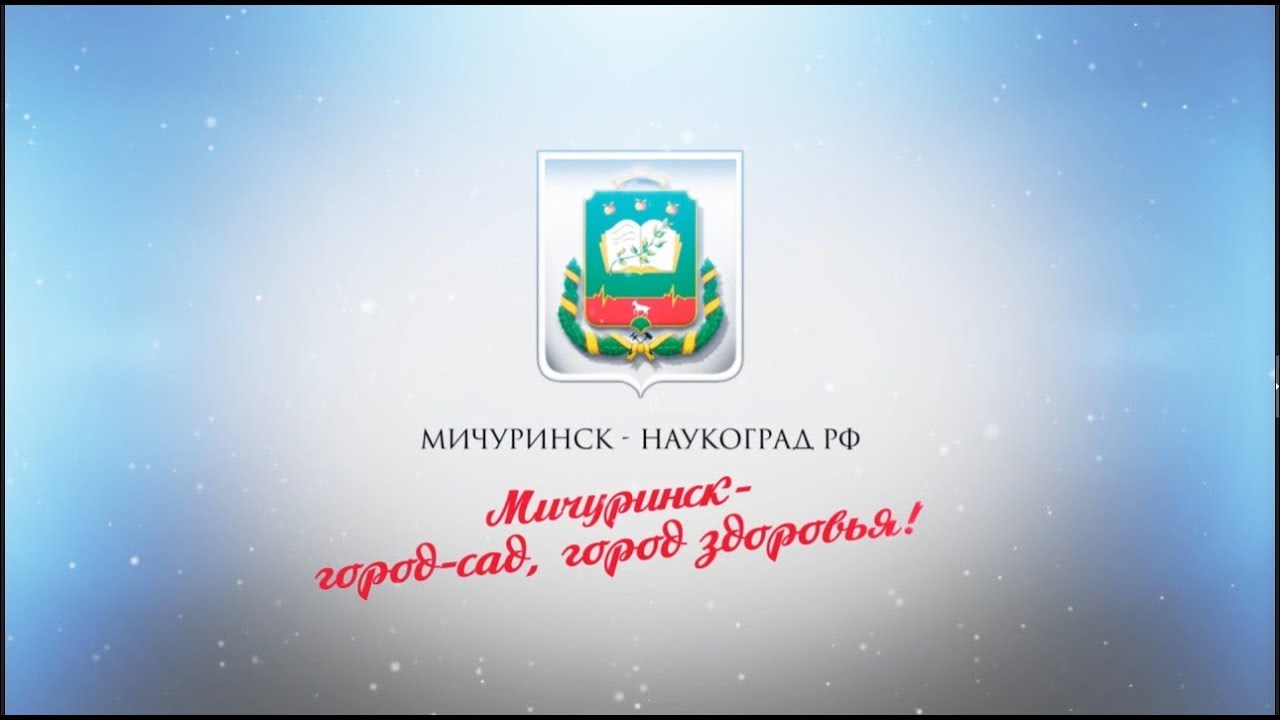 Пенсионный фонд мичуринск