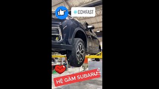 REVIEW HỆ GẦM SUBARU FORESTER