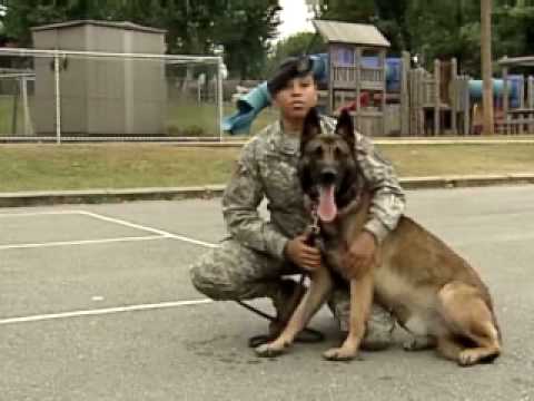 Bonds develop between handler and K-9 - US Army Ko...