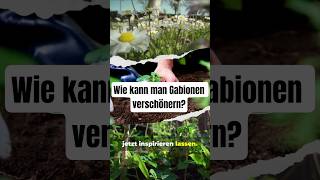 Wie kann man Gabionen verschönern? Tipps für die Bepflanzung #gabionen #gartentipps