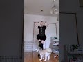 【踊ろうと思ったら🐶】UNI - Kitty 踊ってみた！#shorts
