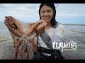 第57集：这个姑娘太厉害，珊瑚礁中徒手捉到大章鱼  Octopus Catch and cook in Port vila ,vanuatu