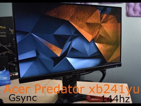 This monitor is definitely not prey! Acer Predator xb241yu