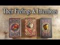 😍⚘Their Current Feelings & Intentions 🥰⚘ Pick A Card Reading