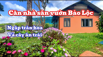 CĂN NHÀ SÂN VƯỜN NHỎ NHỎ XINH XINH NGẬP TRÀN HOAN VÀ CÂY ĂN TRÁI TẠI PHƯỜNG 2 BẢO LỘC SẴN THỔ CƯ
