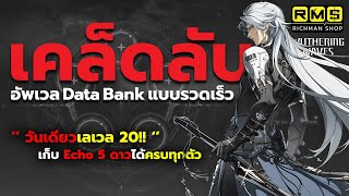 วันเดียวเวลเต็ม! เคล็ดลับอัพเลเวล Data Bank ให้ถึง 20 เร็วๆ พร้อม 5 ดาวครบทุกตัว!! | Wuthering Waves