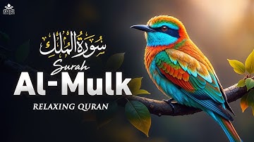 Deep Sleep Quran | Surah Al-Mulk (سورة الملك) For Relaxation Your Mind & Relief Stress #surahmulk