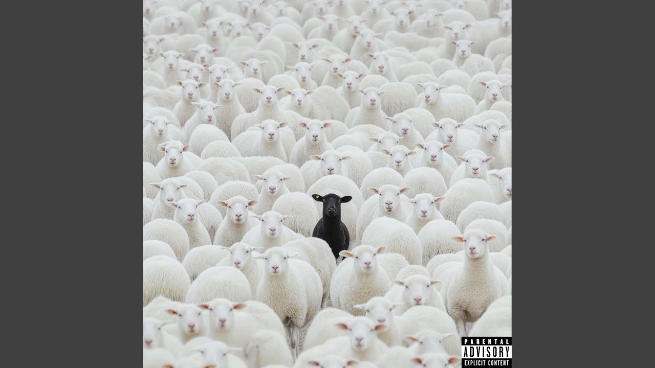 Watch COLD (SENILE) on YouTube Watch COLD (SENILE) on YouTube
