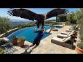 Wildlife Encounters So Disturbing They Look Like Scenes from a Horror Movie