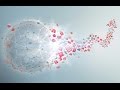 best Of - Oracle Digital Transformation Day - 23/09/2015