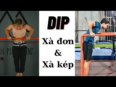 Video So sánh Dip xà đơn và Dip xà kép - Bài tập Dip nào tốt... - youtube
