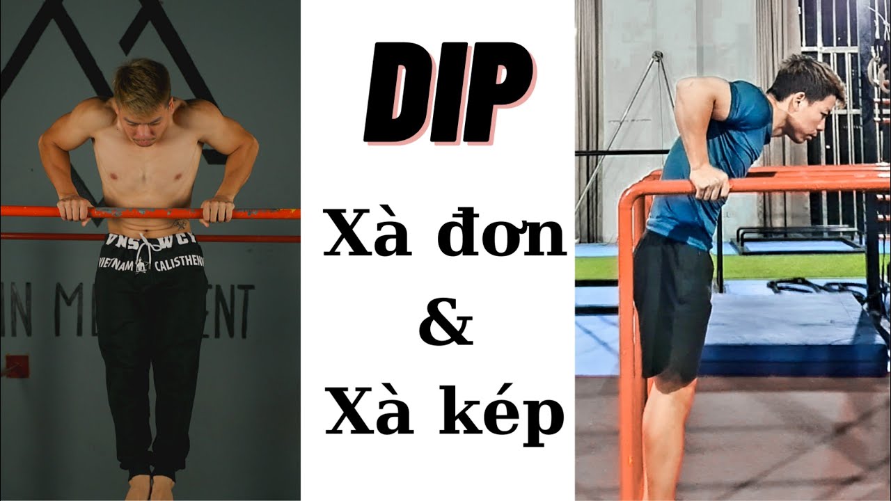 So sánh Dip xà đơn và Dip xà kép - Bài tập Dip nào tốt hơn?