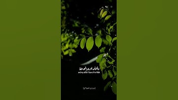 فستذكرون ما أقول لكم... (غافر 44) تلاوة مشاري العفاسي #quran