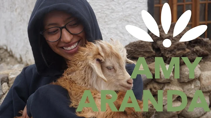 CLP Spotlight - Amy Aranda