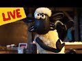 Live  shaun the sheep adventures  247  shaun the sheep  cartoons for kids