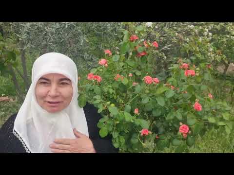 BENİ YADIRGAMAYIN | Köyden İzmire Dönmeden Önce Uzun Bahar Çekimim | Seneyede Kavuşmak Duamla