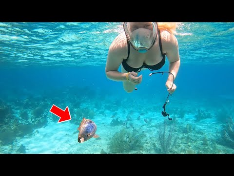 We Tried the UNDERWATER FISHING CHALLENGE!!! (STUNNING Ocean Scenery)