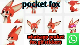 pocket fox,whatsapp pocket fox gif stickers
