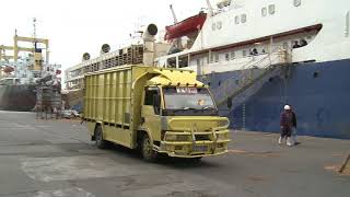 2A.escas Büyükbaş Liman Nakliyesi