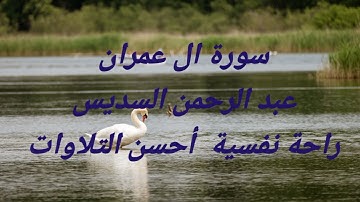 #سورة_ال_عمران #عبدالرحمن_السديس #راحة_نفسية #قرآن_كريم #alquran #اكسبلور #relaxing