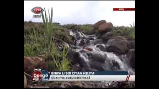 Trt 6 - Dengê Sibê - Gulîkên Mûşê