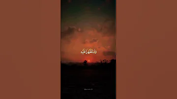دع أصابعك تشهد لك وكتب ماتأخذ عليه آجر 