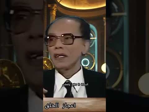 هندسة الأسماك كيف تطفو وتغطس الدكتور مصطفى محمود