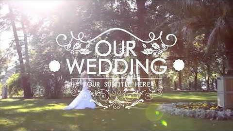 Flourish Titles Collection After Effects Template