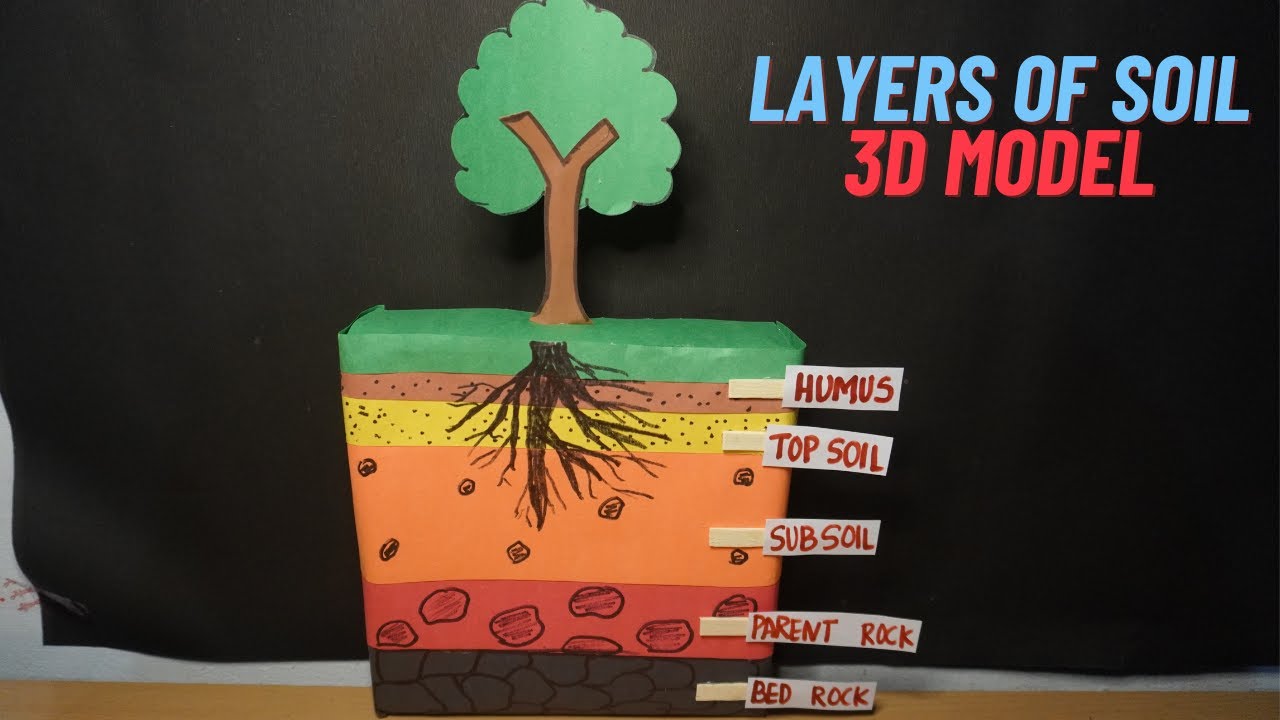 Layers of soil model | Soil layers model project | soil profile model | Model of composition of soil