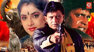 Mithun (HD)- New Blockbuster Full Hindi Bollywood Film, Divya Bharti Love Story Movie | Meenakshi by DRJ Records Movies  183,711 views 6 days ago 2 hours, 13 minutes