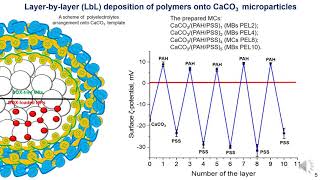 Famous Designing and Characterization of CoreShell Shell Polyelectrolyte Microcapsules with Modified Relea Profile