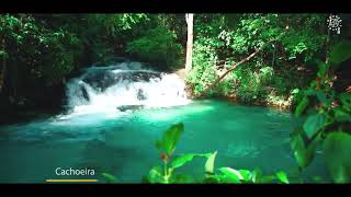 Korubo Safari Camp - Jalapão