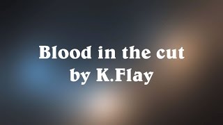 Video thumbnail of "Blood in the Cut - K.Flay (Lyrics)"