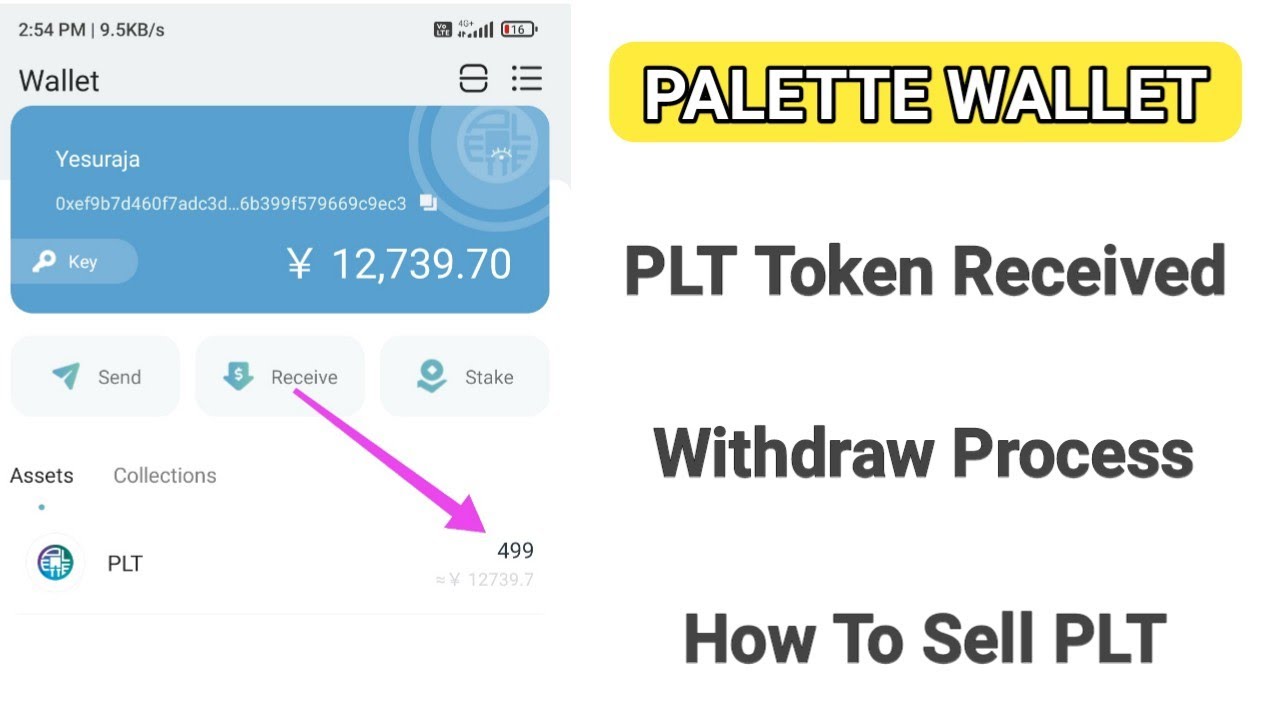 PLT Token Withdrawal process | PLT Token Withdraw | PLT Token | Pallette Wallet PLT Token withdraw