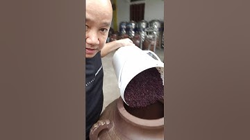 Đây Là 1 Buổi Làm Rượu CẨM Siêu Ngon Của Nam Trọc Rượu Ngâm Nhiều Người Mê. Ai Cũng Mê Loại Rượu Này