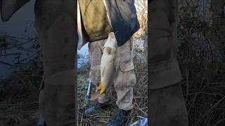 Sazan Avı Şamandirali Göl Kamışıyla