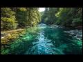 Relaxing River ASMR | Gentle Water Sounds for Sleep, Study & Meditation