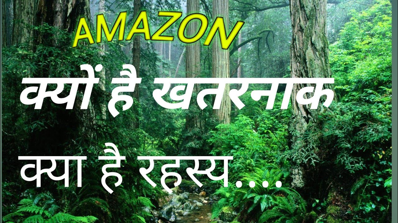 अमेज़न जंगल खतरनाक जानवर और उनका रहस्यamazon forest facts in hindi