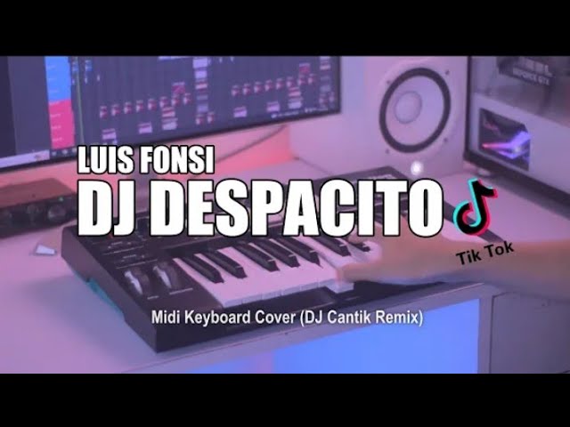 DJ Despacito Tik Tok Remix Terbaru 2022 class=