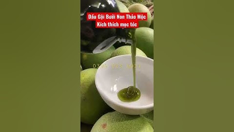 Dầu Gội Bưởi Non Thảo Mộc 500ml (Kích Thích Mọc Tóc, Sạch Mát Da Đầu) | 0399523601 | 0399540601 |